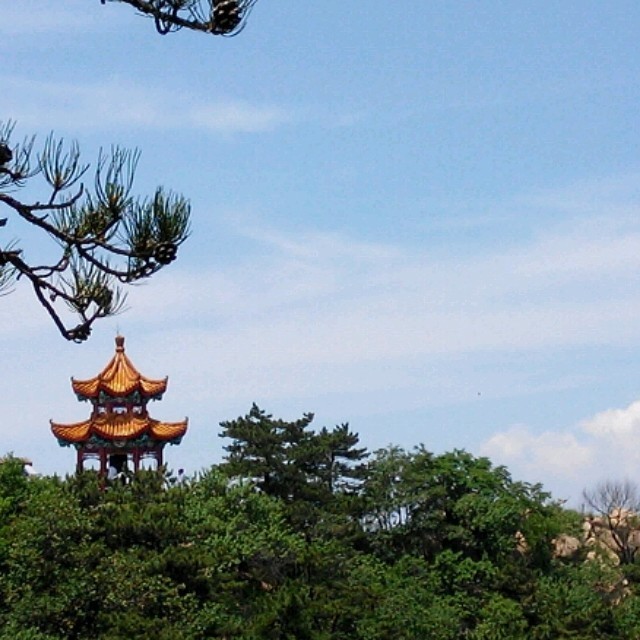 12346037 小草