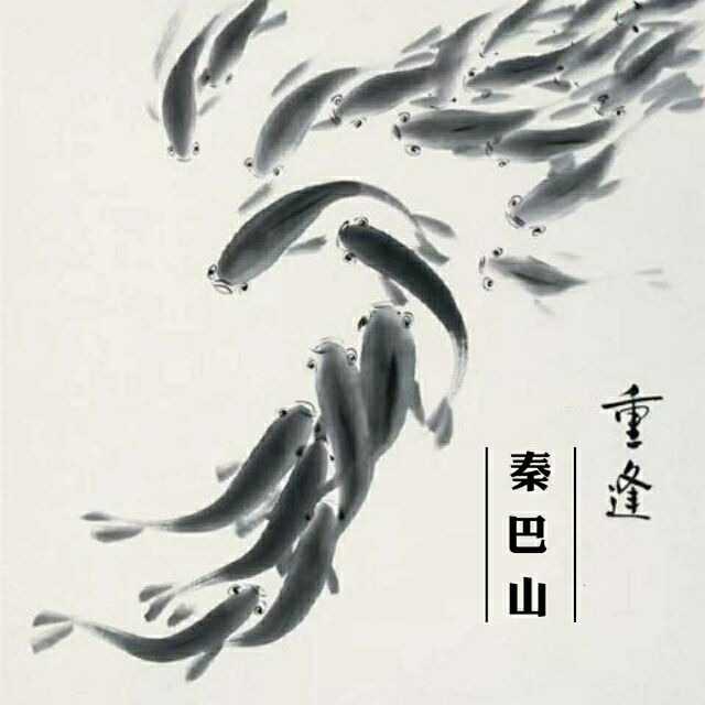 12346187 守拙重逢