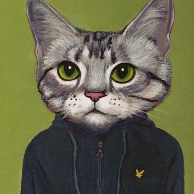 123650 M城的流浪猫