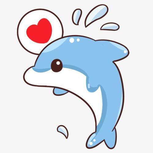 123666 海豚