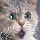 123683 猫毛儿丶