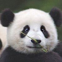 123792 易生活