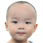 123795 高照Michael
