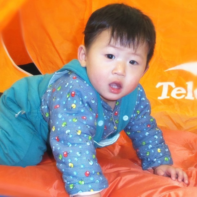 124453 应笑我
