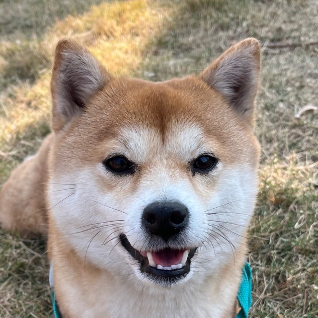 125345 甜甜圈