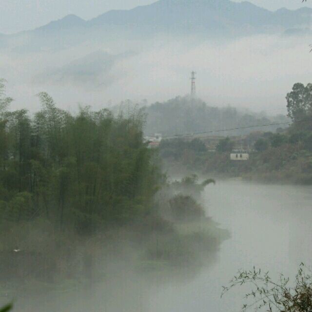 125527 羽