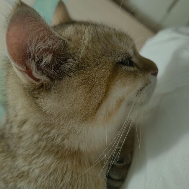 125557 不醒的四月