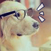 1262751  Pls__ aLa