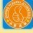 1262768 光山中意手机