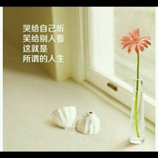 1263302 盈枫飘羽
