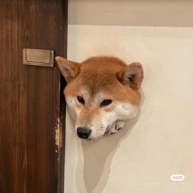 1263389 逍 遥