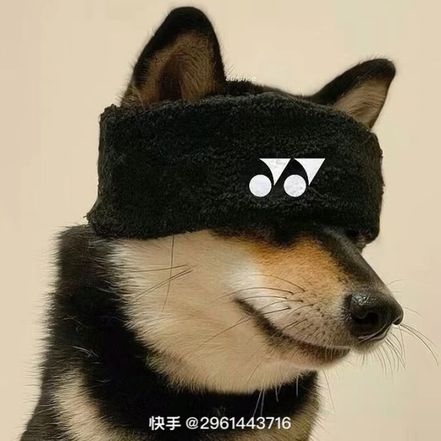 1263728 大丫