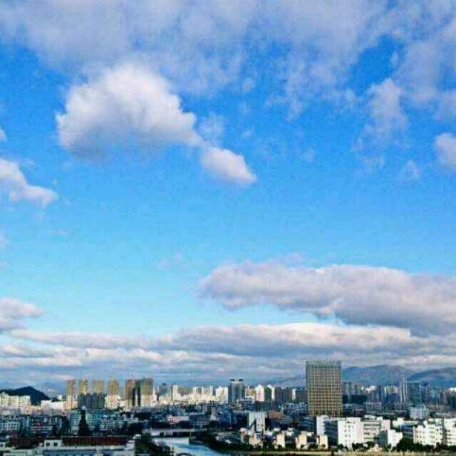 1264224 阿童木
