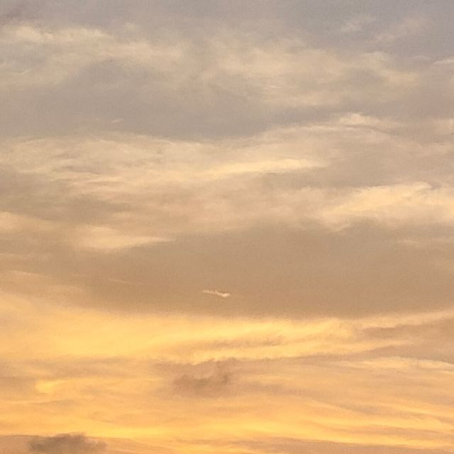 1264785 芊妤_Karen