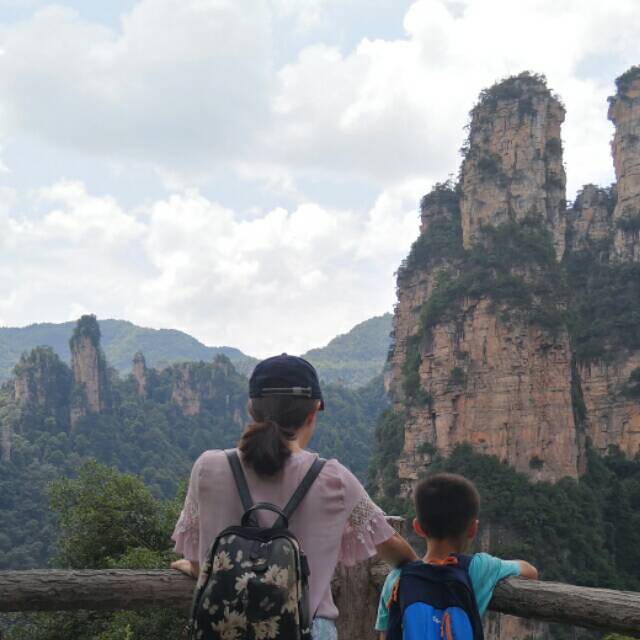 1264901 一叶