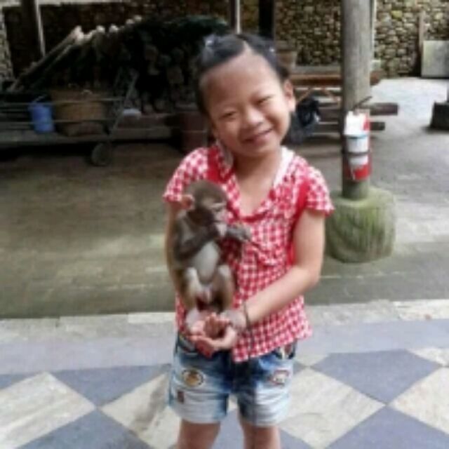 1265688 飘落的水滴