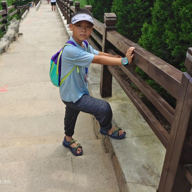 1266002 会数数的鱼