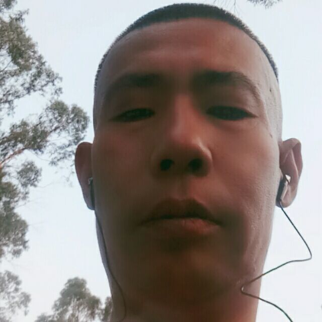 1266196 晚上鸟