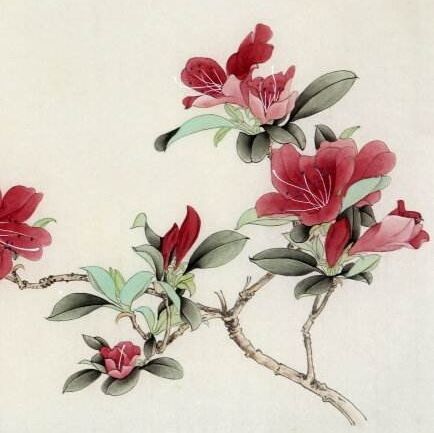 1266381 .芯语芯媛