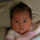 1268132  木子