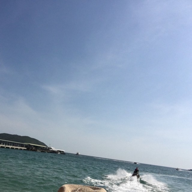 1268166 品位自然