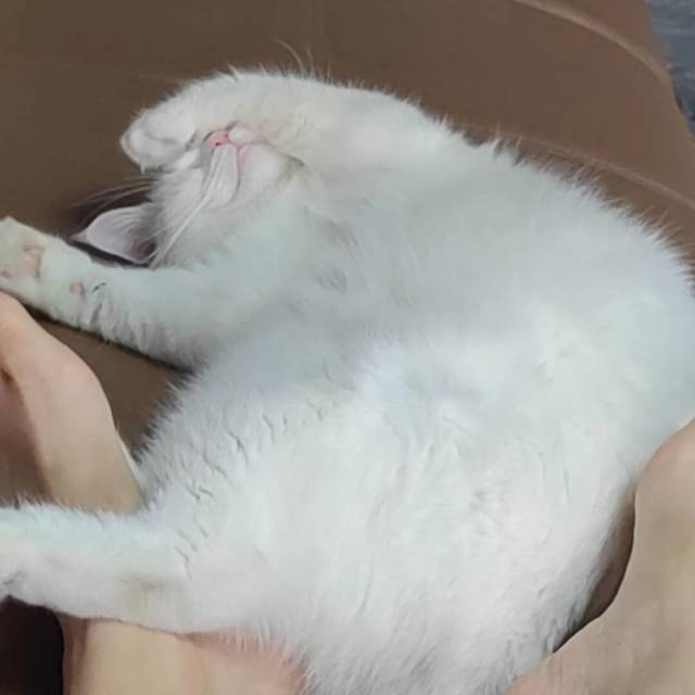 1269187 亜亜¨❤