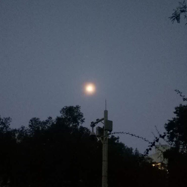 126995 灬芯つ願
