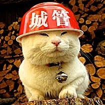 1270572 决心持之以恒