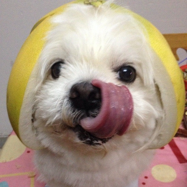 1270693 小懒猫