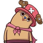 1271260 ≮颓废の猪≯