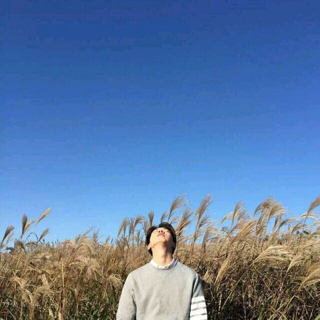 1272043 H