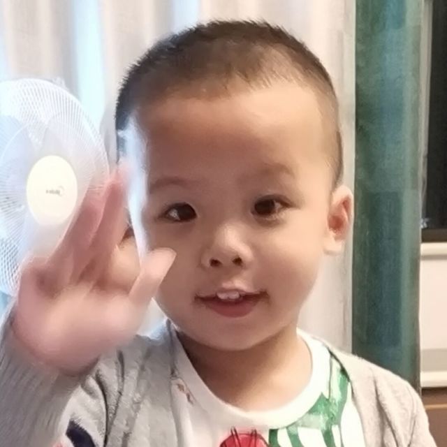 1272049 夏季凋零
