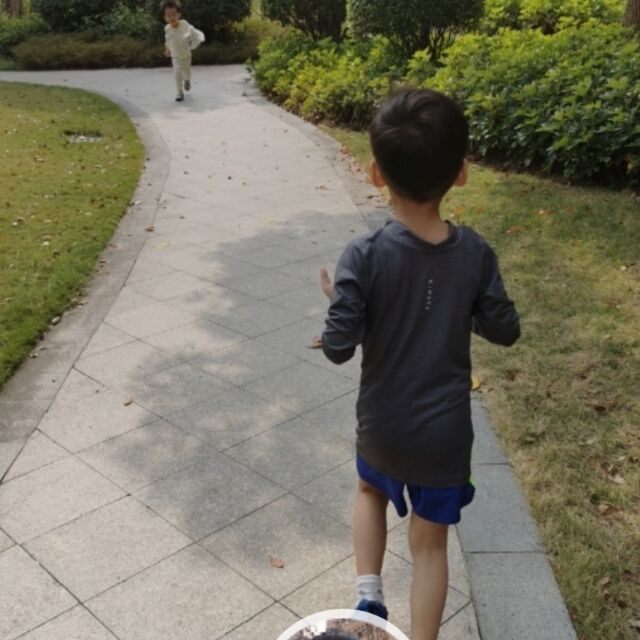 1272597 随风
