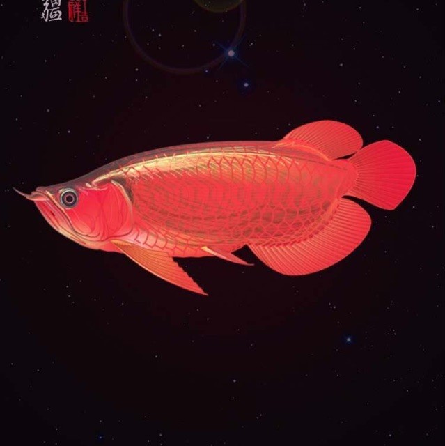 1273126 以后