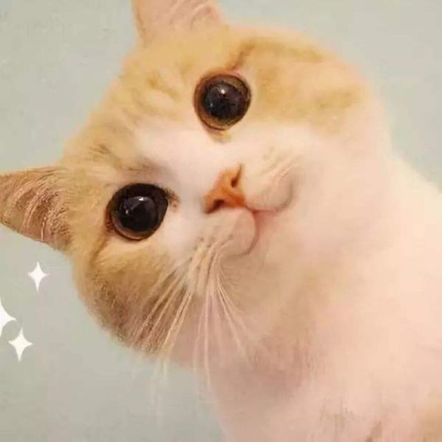 1273167 