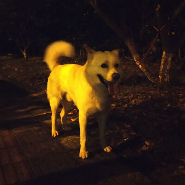 1273435 秋起风了