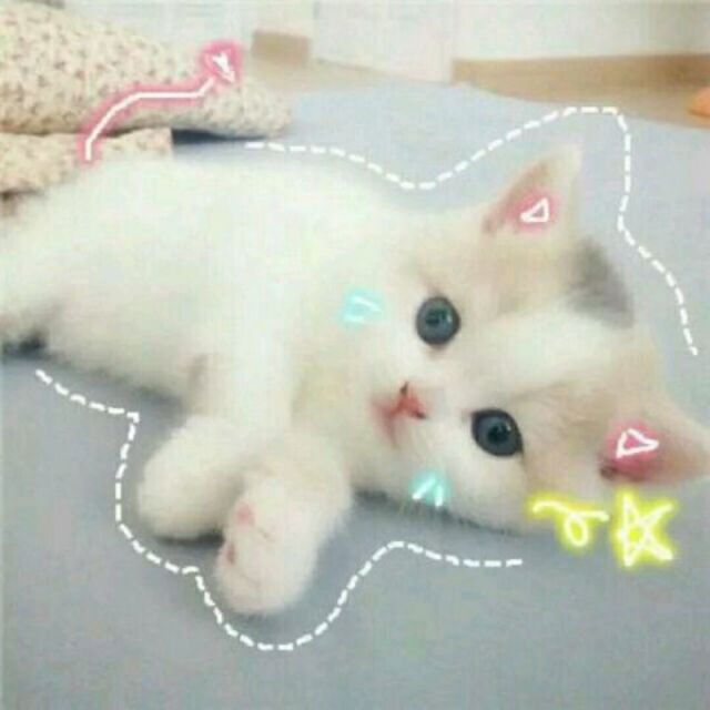 127366 网事如荼