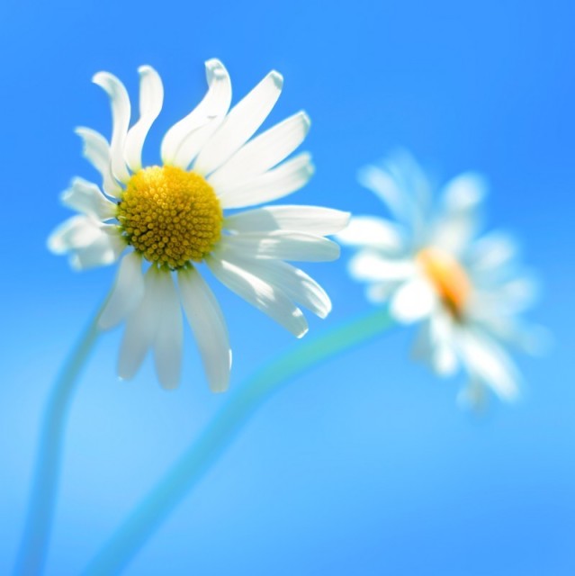 1273815 whoami