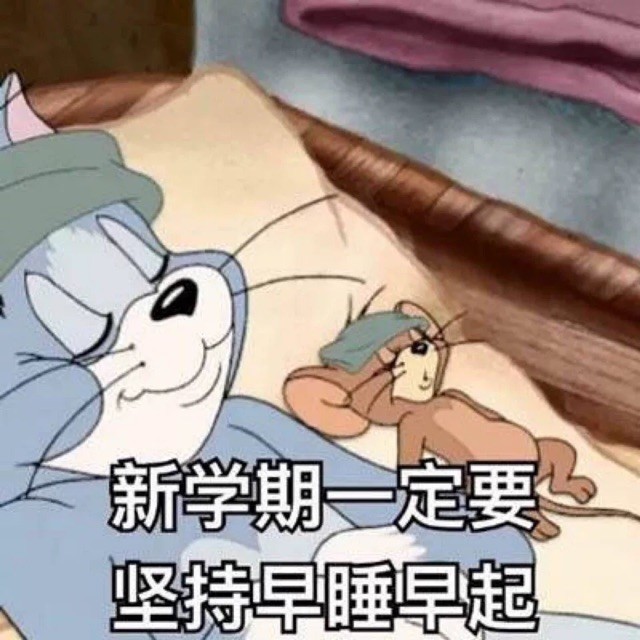 1273855 田杰