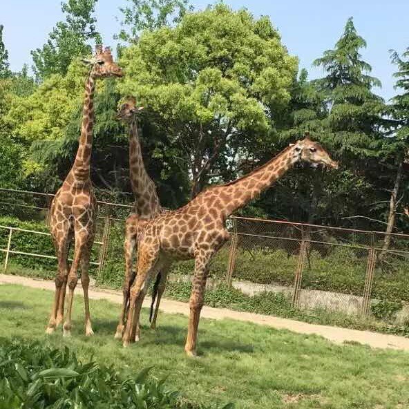 1273992675 〔성어〕 의지할 곳이 없는