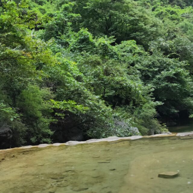 1274647 甜果妈