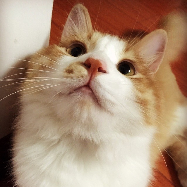 1275808 哦。