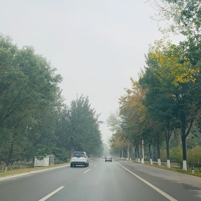 1275826 闲云丶带头大哥