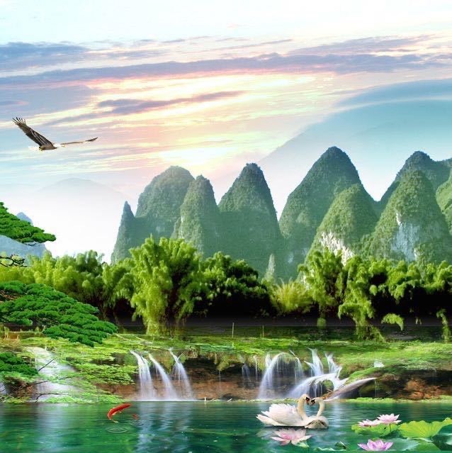 1276103 晶寶寶