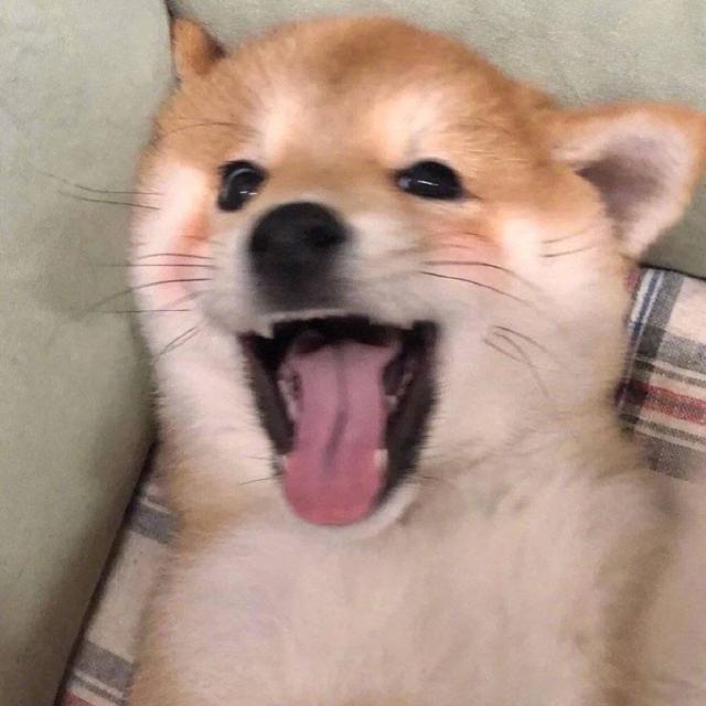 1277137 拿你没办法