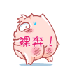 1277155 绿色的毛毛虫