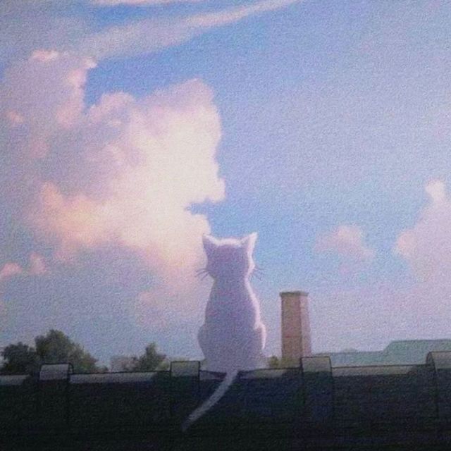 1277455 ❤小Κ·ゝ