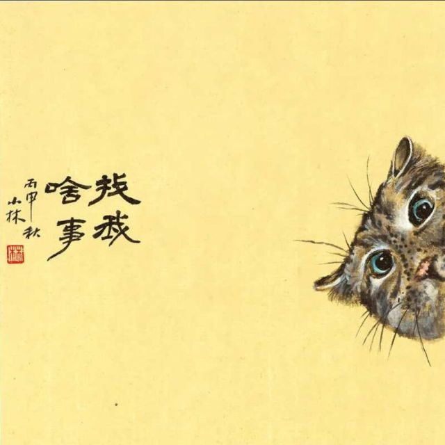 1277843 飞鸿踏雪²º¹³