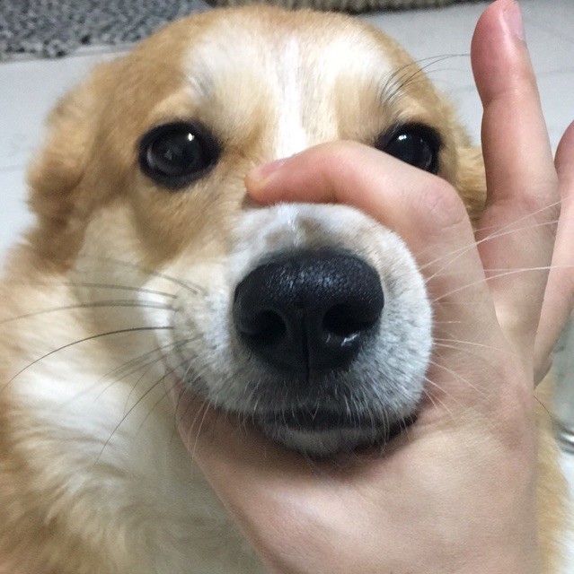 1278840 欢欢