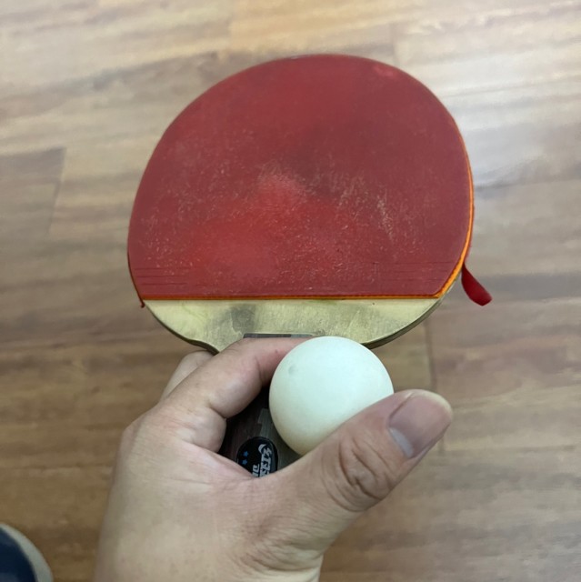 1279380 鱼与海